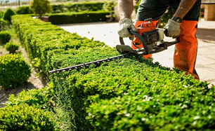 hedge-trimming-in-my-area