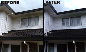 soft washing services wexford2